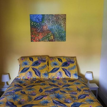 Dans La Creuse Bed & Breakfast Mourioux-Vieilleville Luaran gambar