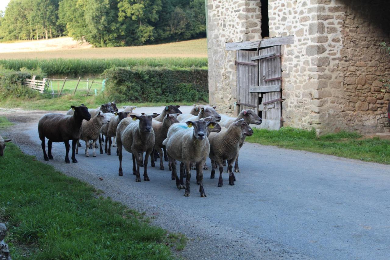Dans La Creuse Bed & Breakfast Mourioux-Vieilleville Luaran gambar