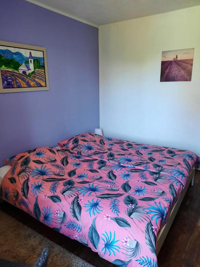 Dans La Creuse Bed & Breakfast Mourioux-Vieilleville Luaran gambar